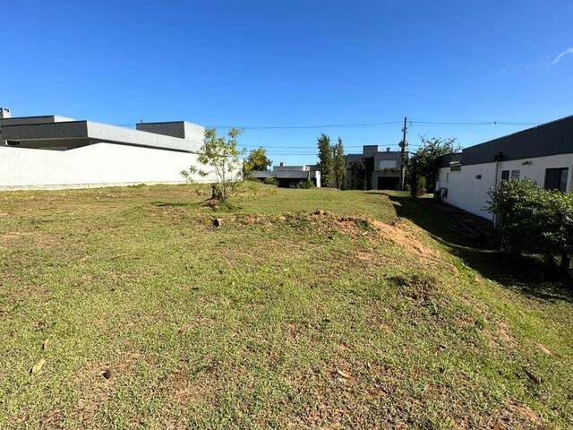 Terreno para Venda em Porto Alegre - 4